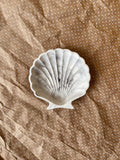 Sea Shell Dish